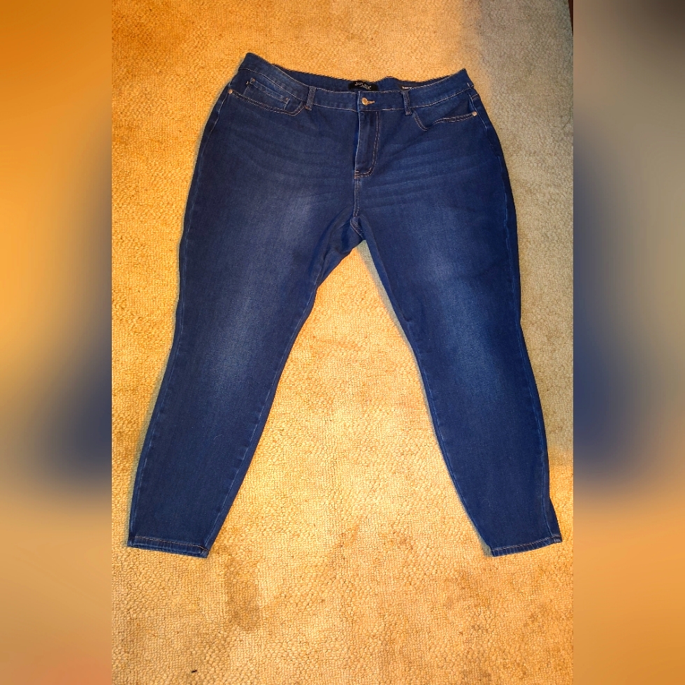 Nwot Judy Blue Skinny Fir Size 22w